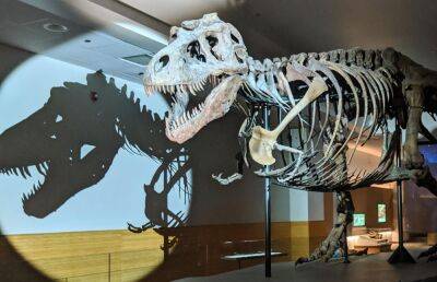 Скелет тираннозавра Рекса выставлен на продажу за 9 млн долларов