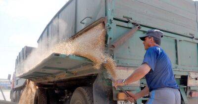 Украина и Польша договорились о возобновлении транзита зерна: когда он заработает