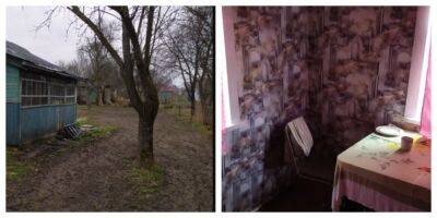 Дом с большим садом продают в Украине за 20 тыс. гривен: как он выглядит и что в нем есть
