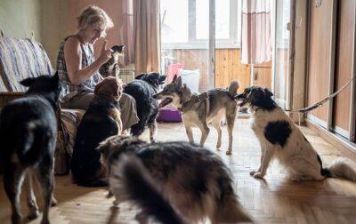 Пенсионерка-киевлянка одна спасает сотни животных