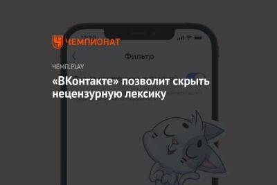 «ВКонтакте» можно будет скрыть мат и нецензурные выражения