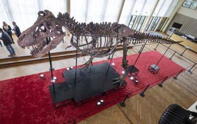 В Швейцарии с молотка ушел скелет динозавра за 6,1 млн долларов - korrespondent.net - Украина - Швейцария - штат Монтана - штат Вайоминг - Reuters