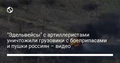 "Эдельвейсы" с артиллеристами уничтожили грузовики с боеприпасами и пушки россиян – видео