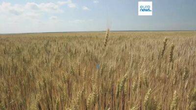 Польша и Украина договорились по транзиту зерна