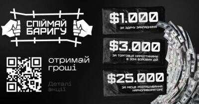 Расследование "Грошей". Кто обещает миллионы за разоблаченные нарколаборатории - dsnews.ua - Украина - Киев