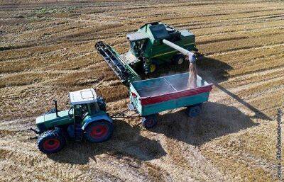 Польским фермерам пообещали компенсировать убытки из-за украинского зерна