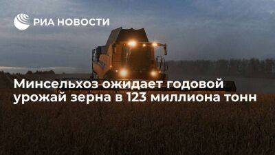 Минсельхоз ожидает годовой урожай зерна в 123 миллиона тонн, из них 78 — пшеницы