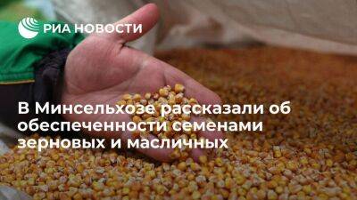 Минсельхоз: Россия с избытком обеспечивает себя семенами зерновых и масличных