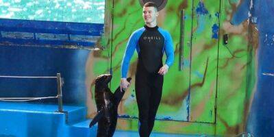 Дело не в веганах-радикалах. Почему объяснение администрации дельфинария Nemo по поводу скандального инцидента с морскими котиками — абсурд - nv.ua - Украина