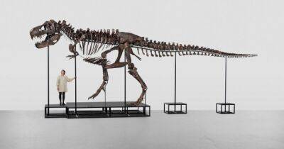 Скелет тираннозавра продан за 6 миллионов долларов на аукционе в Швейцарии (фото)