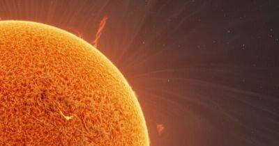 Высотой в 170 тыс. км. Получены уникальные снимки огромного выброса плазмы на Солнце (фото)