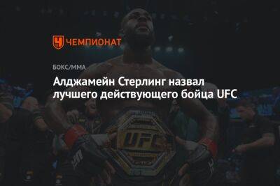 Алджамейн Стерлинг назвал лучшего действующего бойца UFC