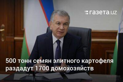 500 тонн семян элитного картофеля раздадут 1700 домохозяйств - gazeta.uz - Узбекистан - Ташкентская обл. - Кашкадарьинская обл. - Джизакская обл. - район Бостанлыкский