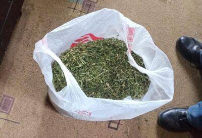 Более килограмма марихуаны нашли в доме жителя поселка Оленино