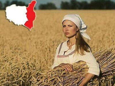 Польша предложила Евросоюзу расширить запрет на ввоз с Украины продуктов питания
