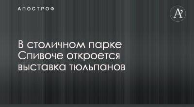 На Спивоче поле откроется выставка тюльпанов