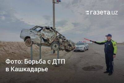 Фото: Борьба с ДТП в Кашкадарье - gazeta.uz - Узбекистан