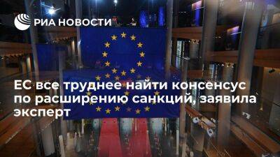 Эксперт Пархалина: ЕС все труднее найти консенсус по расширению антироссийских санкций