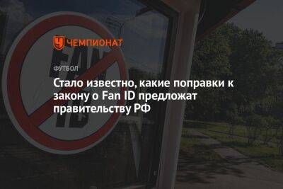 Стало известно, какие поправки к закону о Fan ID предложат правительству РФ
