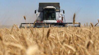 Эксперт допустил рост цен на зерно на фоне возможного появления нового экспортера