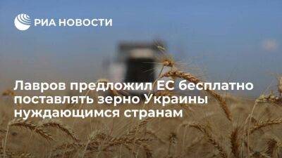 Лавров: ЕС было бы честнее по низким ценам купить зерно у Украины и отдать его нуждающимся