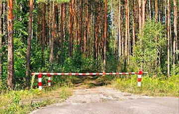В Беларуси на границе с Литвой ограничили посещение лесов