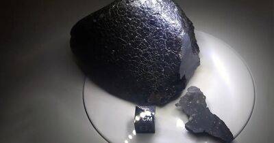 Черная красавица. Охотники за метеоритами испортили уникальный образец, прилетевший с Марса - focus.ua - Украина