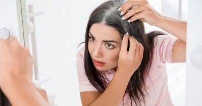 Окрашивание не понадобится. Ученые нашли способ избавиться от седых волос навсегда - focus.ua - Украина - Нью-Йорк