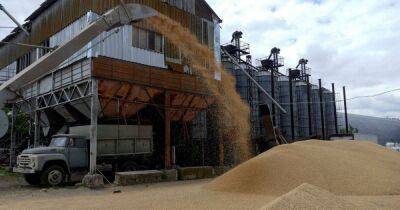 ЕС выплатит €100 млн компенсации фермерам, которых затронул экспорт зерна из Украины