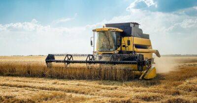Миллиарды долларов: в KSE оценили убытки аграрного сектора от войны в Украине