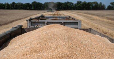 ЕС введет "превентивные ограничения" на импорт зерна из Украины, – FT - focus.ua - Украина - Киев - Венгрия - Польша - Болгария - Брюссель - Ляйен - Транзит