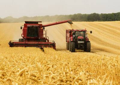 В Чехии проверки украинской сельхозпродукции не выявили ни единого нарушения