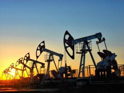 Китайские нефтяные компании резко увеличили импорт российской нефти - Reuters