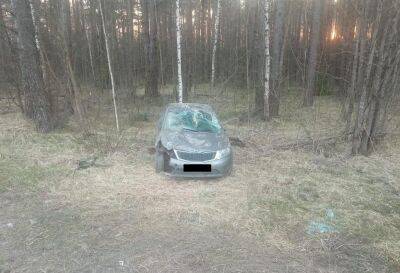 Водитель Kia пострадал в ДТП с лосем на трассе «Золотое кольцо» в Тверской области