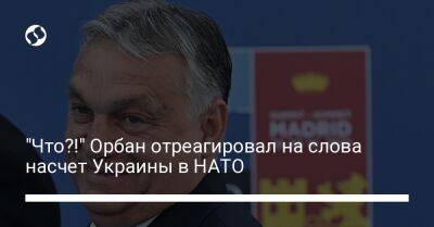 "Что?!" Орбан отреагировал на слова насчет Украины в НАТО