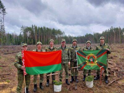 Гродненские пограничники присоединились к акции «Неделя леса»