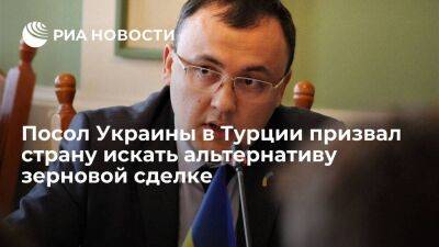 Посол Украины Боднар: Киеву нужен запасной вариант, если "зерновой коридор" заблокируют