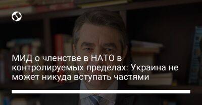 Евгений Перебийнис - МИД о членстве в НАТО в контролируемых пределах: Украина не может никуда вступать частями - liga.net - Украина - Вильнюс - Финляндия