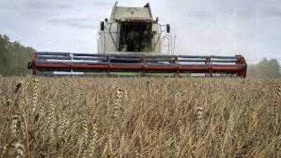 Польша и Румынии отменят ограничения на импорт и транзит украинского зерна