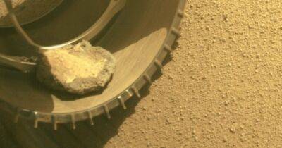 Марсоход NASA потерял своего "друга" на Красной планете: провели целый год вместе (фото)