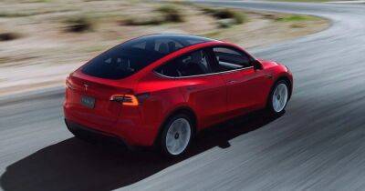 Tesla Model Y стала самым популярным автомобилем в Европе: статистика продаж