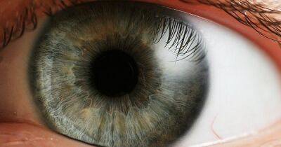 Главная причина слепоты. Ученые создали технологию по снижению глазного давления