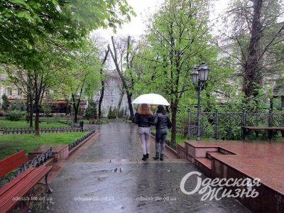 Погода в Одессе 22 апреля: прекратится ли дождь? | Новости Одессы
