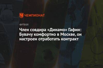 Член совдира «Динамо» Гафин: Бувачу комфортно в Москве, он настроен отработать контракт