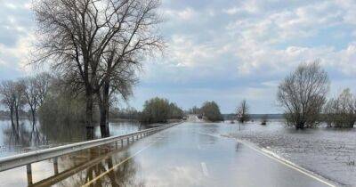 В Украине реки продолжают подтапливать 9 областей