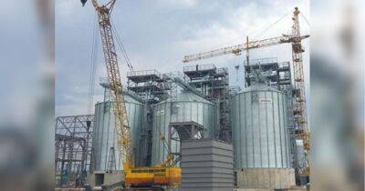 «Блицкриг» Argentem Creek Partners в попытке захватить зерновой терминал в Одессе проваливается