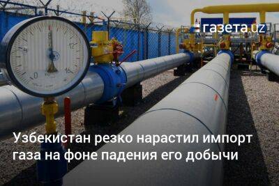 Узбекистан резко нарастил импорт газа на фоне падения его добычи