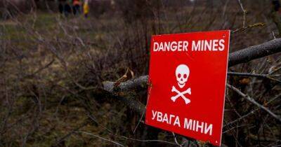 В Николаевской области два человека подорвались на противопехотной мине