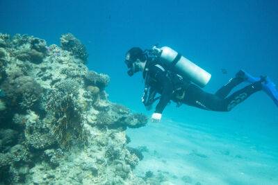 «Улов» аквалангистов в Эйлатском заливе: 400 кг мусора и три электросамоката