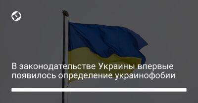 В законодательстве Украины впервые появилось определение украинофобии
